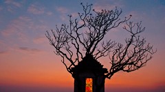 Landscapes nature Animals national geographic National