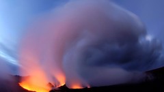 Landscapes nature Animals national geographic National