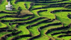 Landscapes nature Animals national geographic National