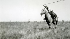 Landscapes nature Animals national geographic National