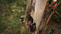 Landscapes nature Animals national geographic National