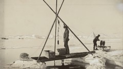 Landscapes nature Animals national geographic National