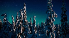 Landscapes nature Animals national geographic National