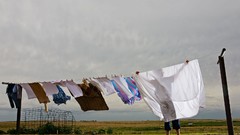 Landscapes nature Animals national geographic National