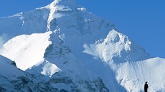 Landscapes nature Animals national geographic National