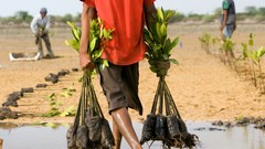 Landscapes nature Animals national geographic National