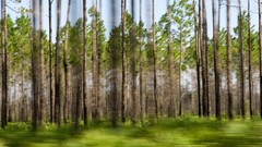 Landscapes nature Animals national geographic National