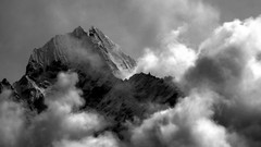 Landscapes nature Animals national geographic National