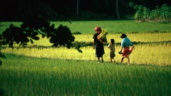 Landscapes nature Animals national geographic National