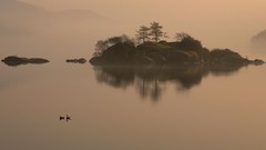 Landscapes nature apple inc