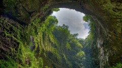 Landscapes nature arch forests