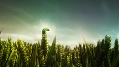 Landscapes nature artistic fields