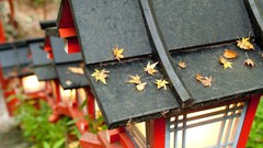 Landscapes nature Asia