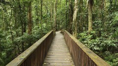 Landscapes nature Australia Bridges national park