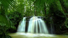 Landscapes nature Australia forests