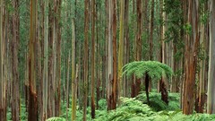 Landscapes nature Australia national park