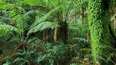 Landscapes nature Australia national park