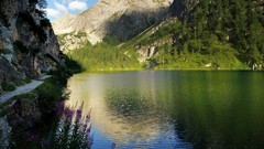 Landscapes nature Austria forests