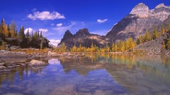 Landscapes nature autumn