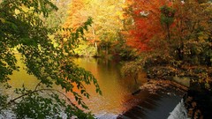 Landscapes nature autumn