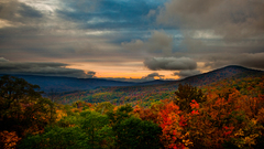 Landscapes nature autumn