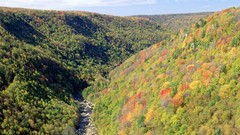 Landscapes nature autumn