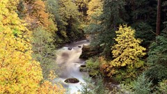 Landscapes nature autumn