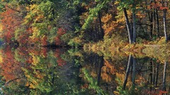 Landscapes nature autumn