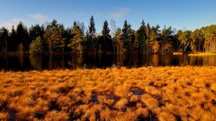 Landscapes nature autumn