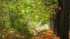 Landscapes nature autumn