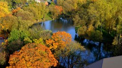 Landscapes nature autumn