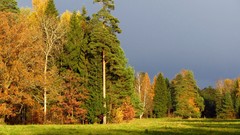 Landscapes nature autumn