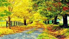 Landscapes nature autumn