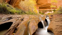Landscapes nature autumn canyon Utah National coyote