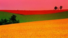 Landscapes nature autumn colors