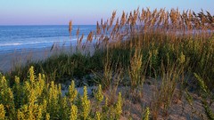 Landscapes nature autumn dunes Beaches