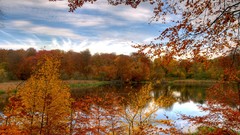 Landscapes nature autumn forests