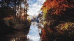 Landscapes nature autumn light forests