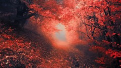 Landscapes nature autumn Portal janek-sedlar