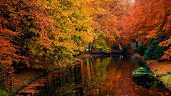 Landscapes nature autumn rivers
