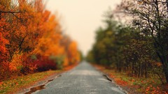 Landscapes nature autumn roads