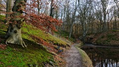 Landscapes nature autumn roads