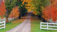 Landscapes nature autumn roads