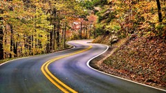 Landscapes nature autumn roads forests