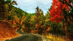 Landscapes nature autumn roads multicolor