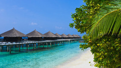 Landscapes nature Beaches