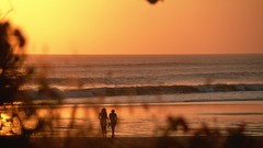 Landscapes nature Beaches