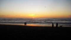 Landscapes nature Beaches