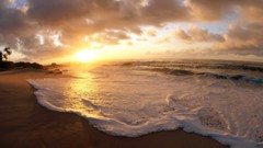 Landscapes nature Beaches