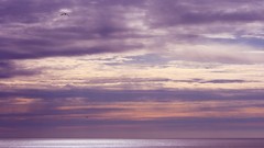 Landscapes nature Beaches